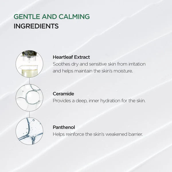 Anua 70% Extract Heartleaf intense Calming Cream.